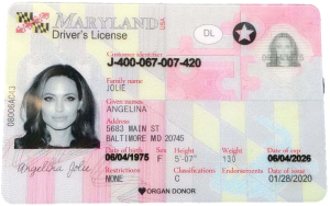 Maryland Driver License - Maryland Scannable IDS