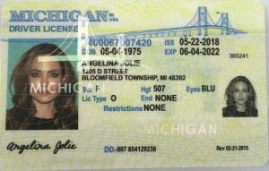 Michigan Driver License - Michigan Scannable IDS