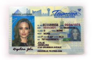 Tennessee Driver License - Tennessee Scannable IDS